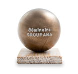 Trophée boule n°1