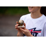 Trophée boule n°1