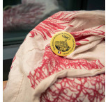 St Bonnet Le Château badge St Bonnet Le Château badge